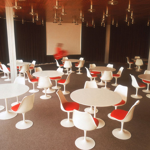 Dining Furniture|Plastic Dining Chair|Office Furniture|Tulip Chair|����